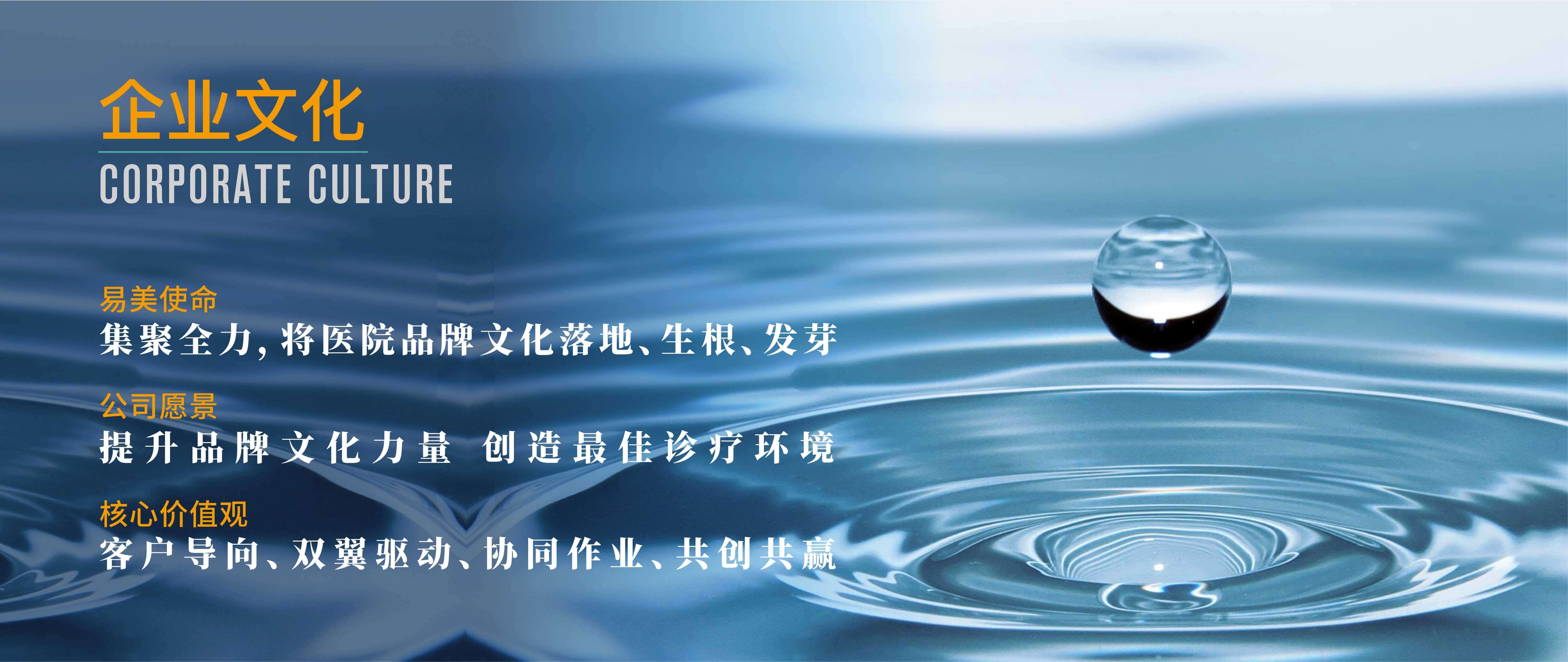 易美使命，集聚全力,将医院品牌文化落地、生根、发芽；公司愿景，提升品牌文化力量创造最佳诊疗环境；核心价值观，客户导向、双翼驱动、协同作业、共创共赢