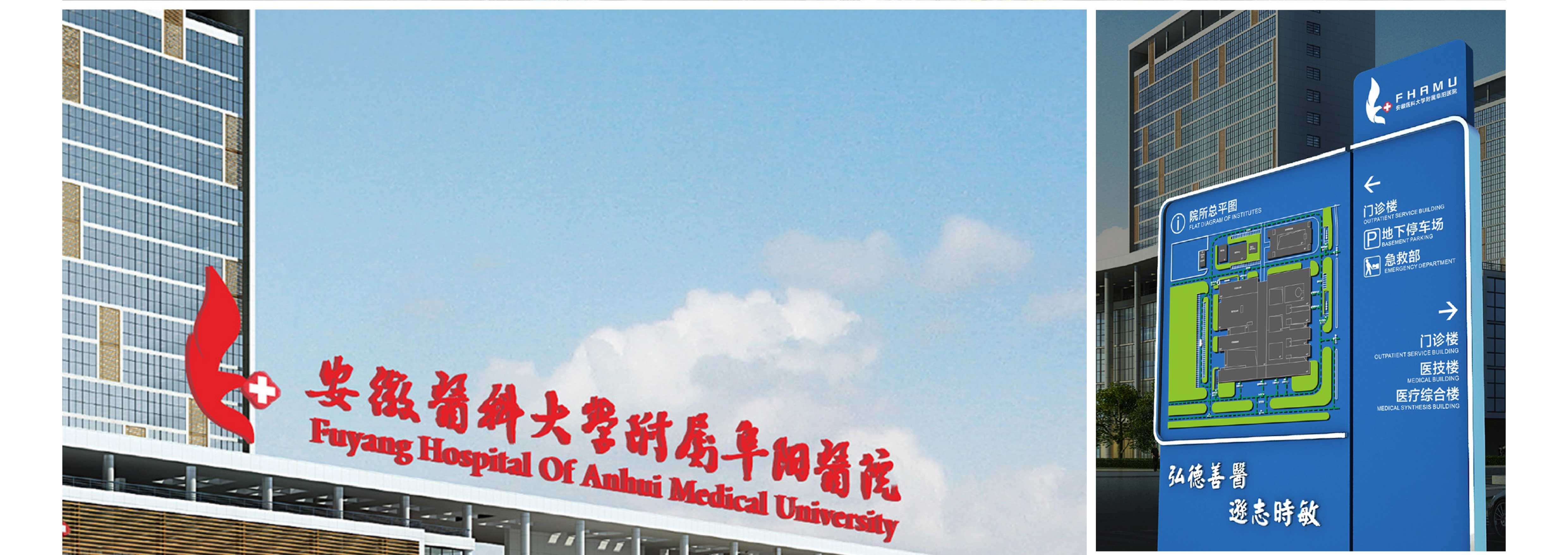 安徽医科大学附属阜阳医院